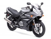 2007 Suzuki GS 500 F photo